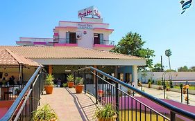 Lsq Pink Lake